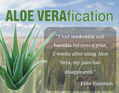 ALOE VERAfication - Aloe Vera - Elise Fountain