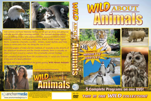 Wild About Animals - Full Wrap